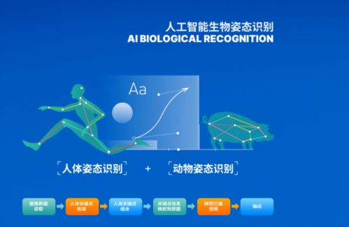 智博會第二日聚焦 網(wǎng)絡(luò)技術(shù)服務(wù)亮點全解析